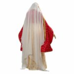 movie-aladdin-dalia-cosplay-costume_6