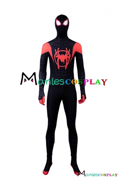Spider-Man Peter Parker Cosplay Costume