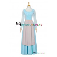 Cinderella Cosplay Princess Costume