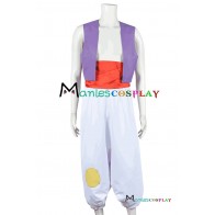 Aladdin Prince Cosplay Costume