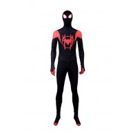 Spider-Man Peter Parker Cosplay Costume