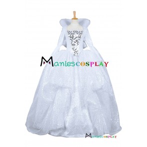 Cinderella Godmother Cosplay Costume