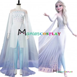 Frozen 2 Princess Elsa Cosplay Costume