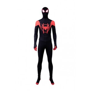 Spider-Man Peter Parker Cosplay Costume