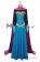 Frozen Princess Elsa Cosplay Costume