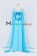 Frozen Princess Elsa Cosplay Costume 