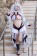 Fate Grand Order Saber Altera Altila Etzel Attila Stage 2 Costume