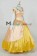 Cinderella Cosplay Princess Costume 