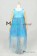 Frozen Princess Elsa Cosplay Costume