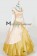 Cinderella Cosplay Princess Costume 