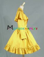 c018gingeryellow-3