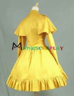 c018gingeryellow-4