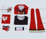 pokemon-sword-and-shield-kabu-cosplay-costume_4